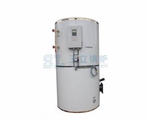 立式燃?xì)忮仩t