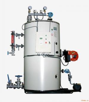 生物質(zhì)蒸汽鍋爐