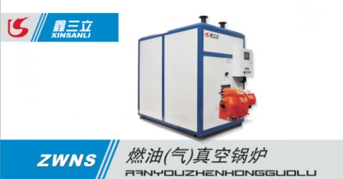 家用小型燃?xì)忮仩t