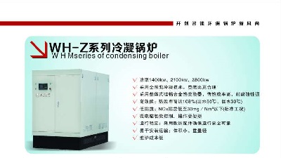 低氮冷凝鍋爐